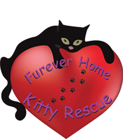 Furever Home Kitty Rescue logo