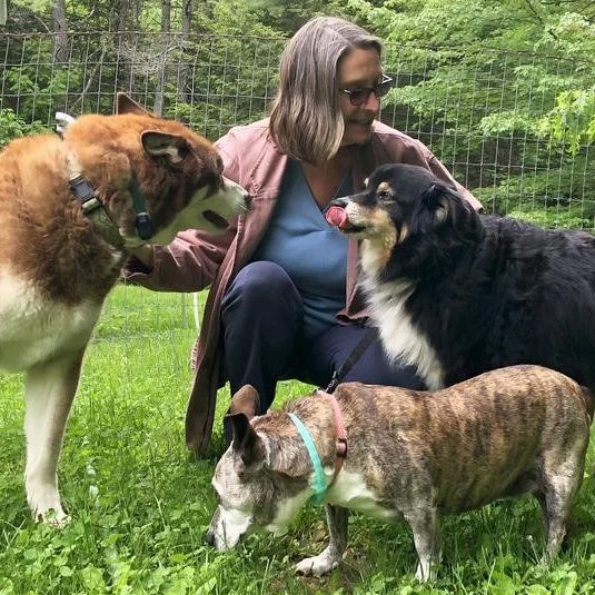Laurie Dorr of Finally Home Senior Dog Rescue and Retirement Home caring for three senior resident dogs