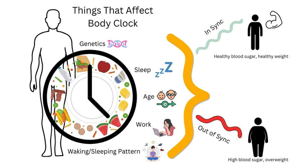 Things that affect bodyclock infographic