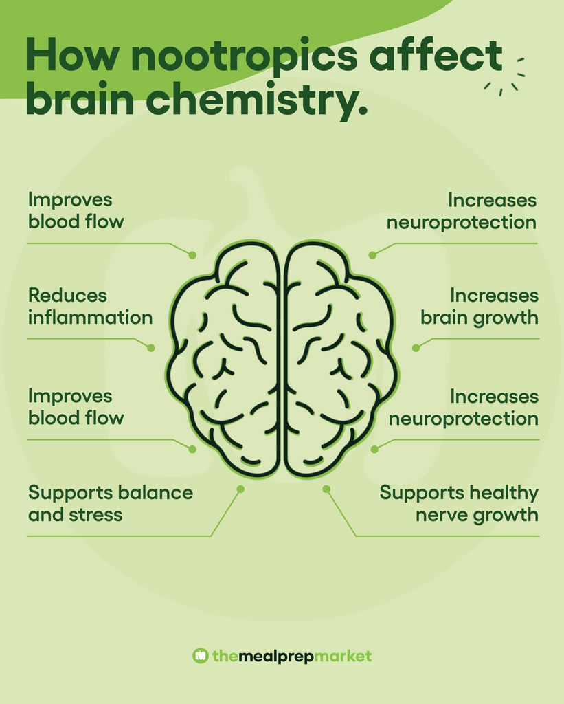 How nootropics affect brain chemistry