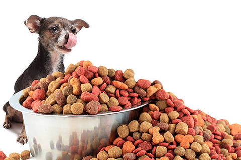 Freeze dried fruit for Pets