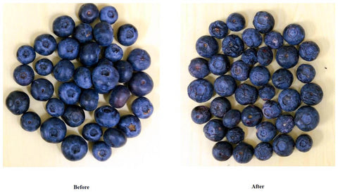Freeze Dried Blueberry Supply