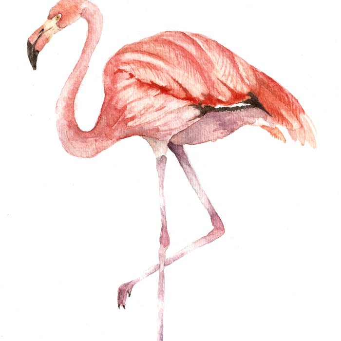 Society6 ケース Pink Flamingo by Goosi 33950442_13671497.jpg?v=