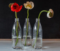 Flowers in Recycled Bottles