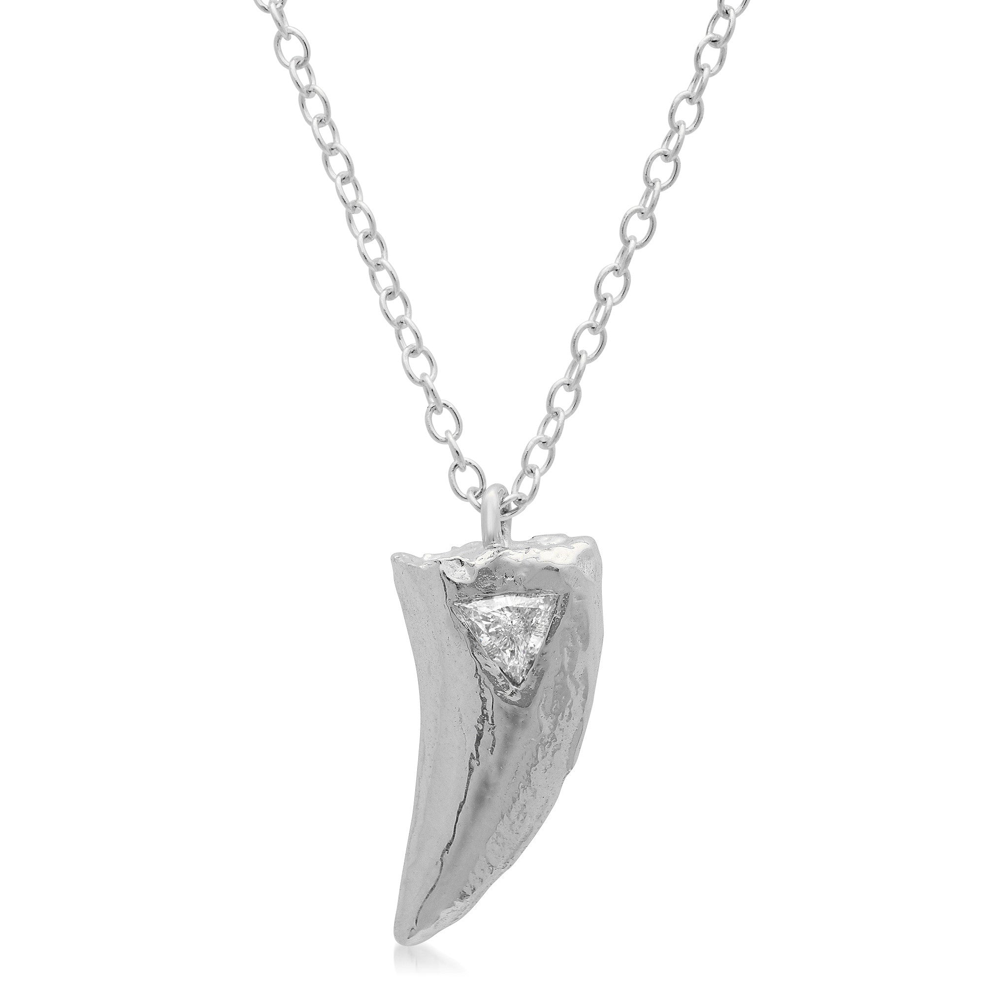 Velociraptor Tooth Necklace