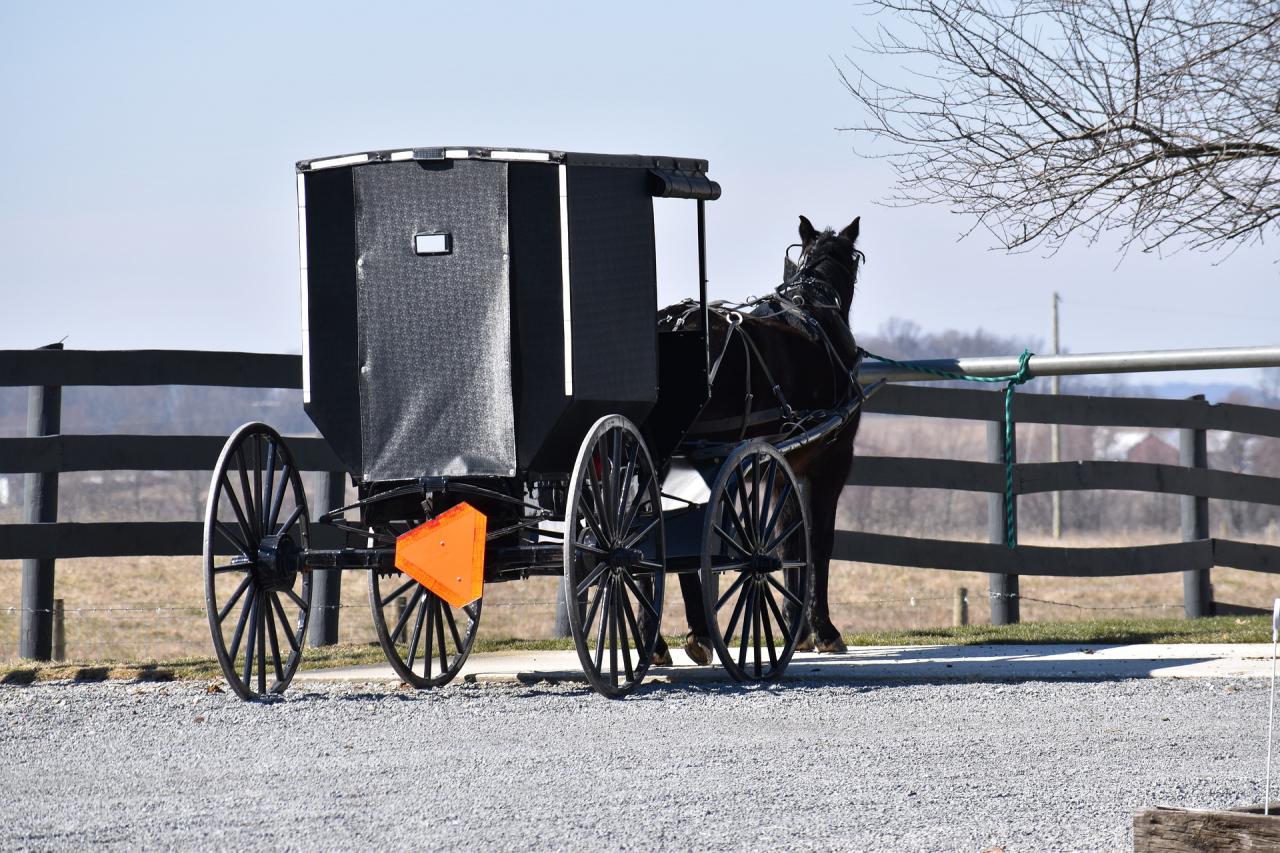 Cheval et buggy Amish