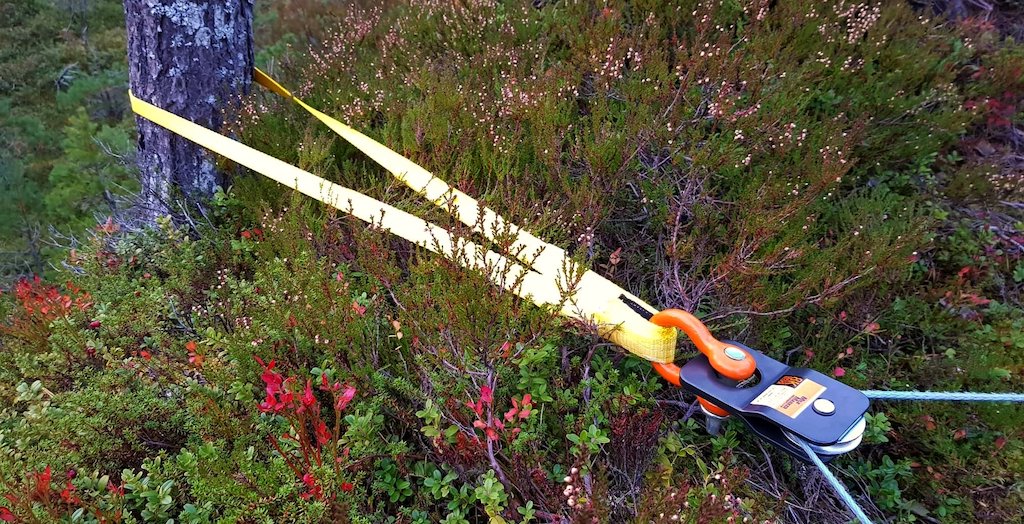 Pulley block used for downing smaller trees with a pick up