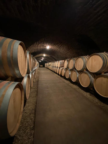 A long, dimly illuminated barrel-arched stone cellar with rows of barrels on either side of a concrete walkway stretching into the distance