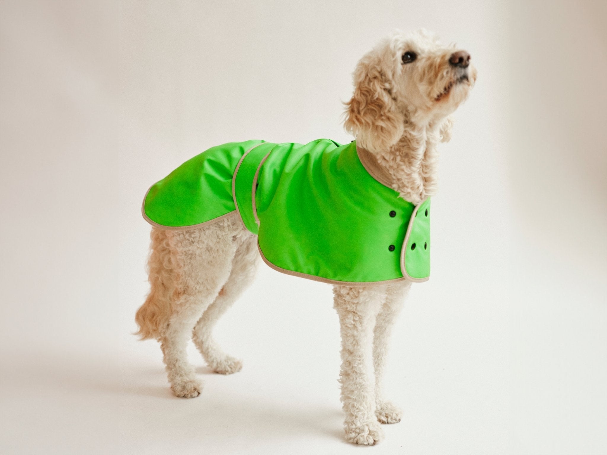 ecom-edit-image-bF6HndJjE6the-glow-raincoat-hunderegenmantel-regular-fitthe-glow-raincoat-hunderegenmantel-regular-fitregenmantellumiieslumiies-high-visibility0neon-green-gecko97-pvc