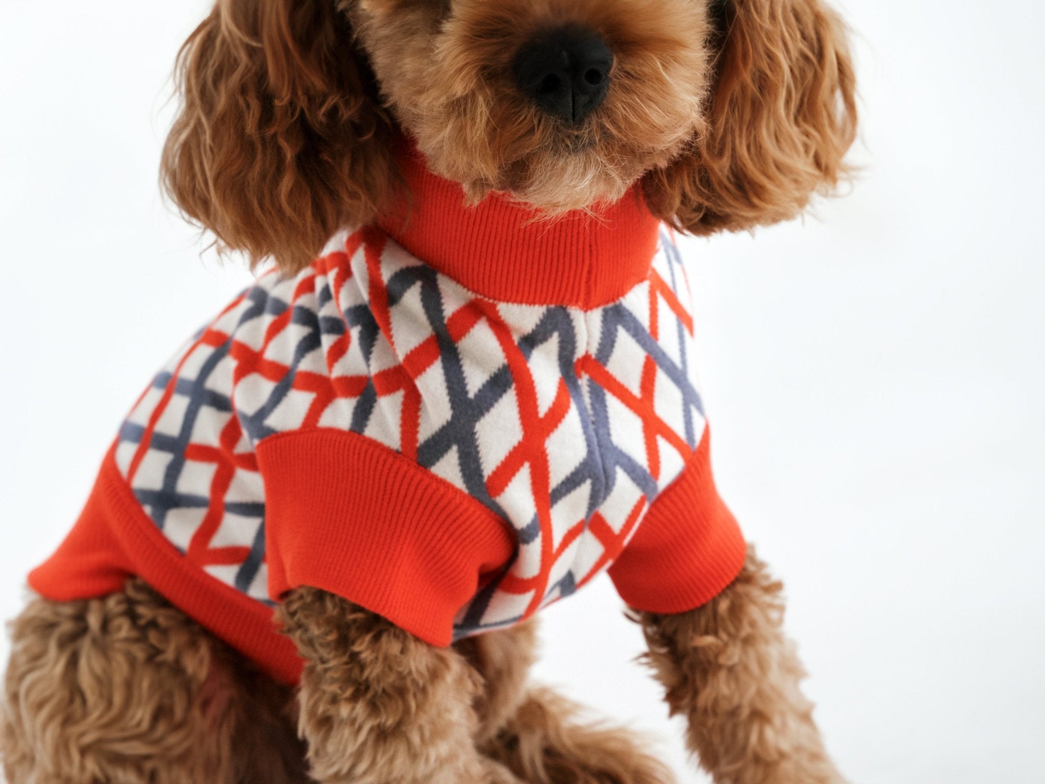 the-cropped-cotton-jumper-hundepulloverthe-cropped-cotton-jumper-hundepulloversalelumiieslumiies-high-visibility1100-organic-cottonred-diamonds-329498