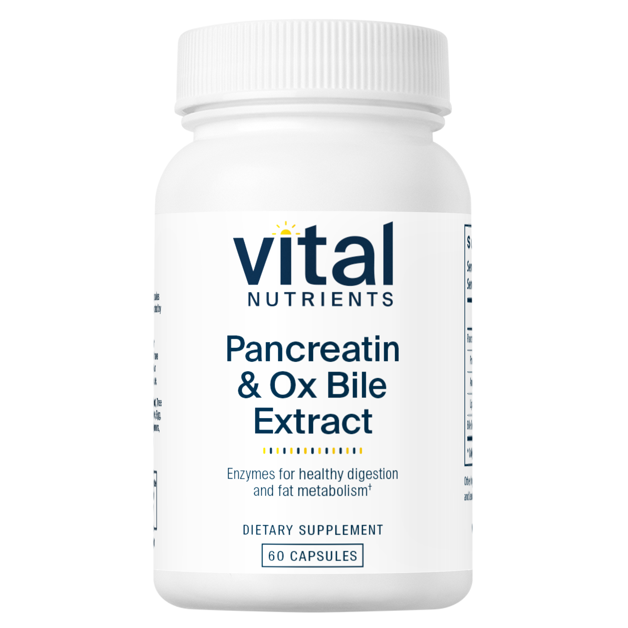 Pancreatin & Ox Bile Extract  - 60 Capsules | Vital Nutrients