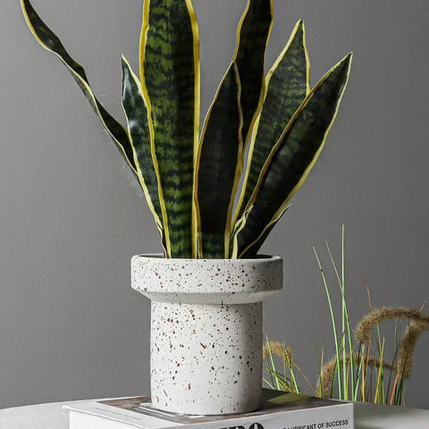 A snake plant with tall, variegated green and yellow leaves is potted in a small, cylindrical white cement flower pot with black speckles. The pot sits on a book against a light grey background. Dried grasses are subtly visible to the right.