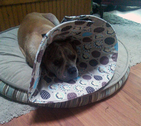 Boxer sleeping in a bed wearing a soft dog cone