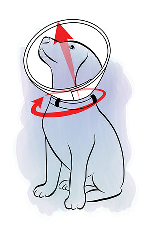 A diagram showing how to measure your pet