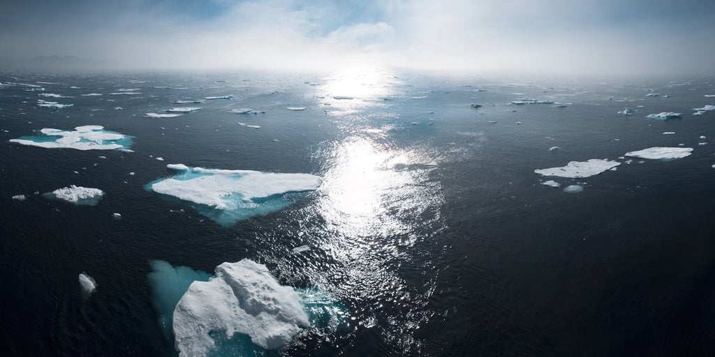 A photo of the sea with broken up icebergs floating in the water 