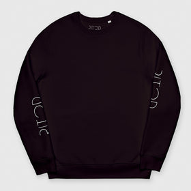 Picture of Brown Pitod Sleeve Sweatshirt