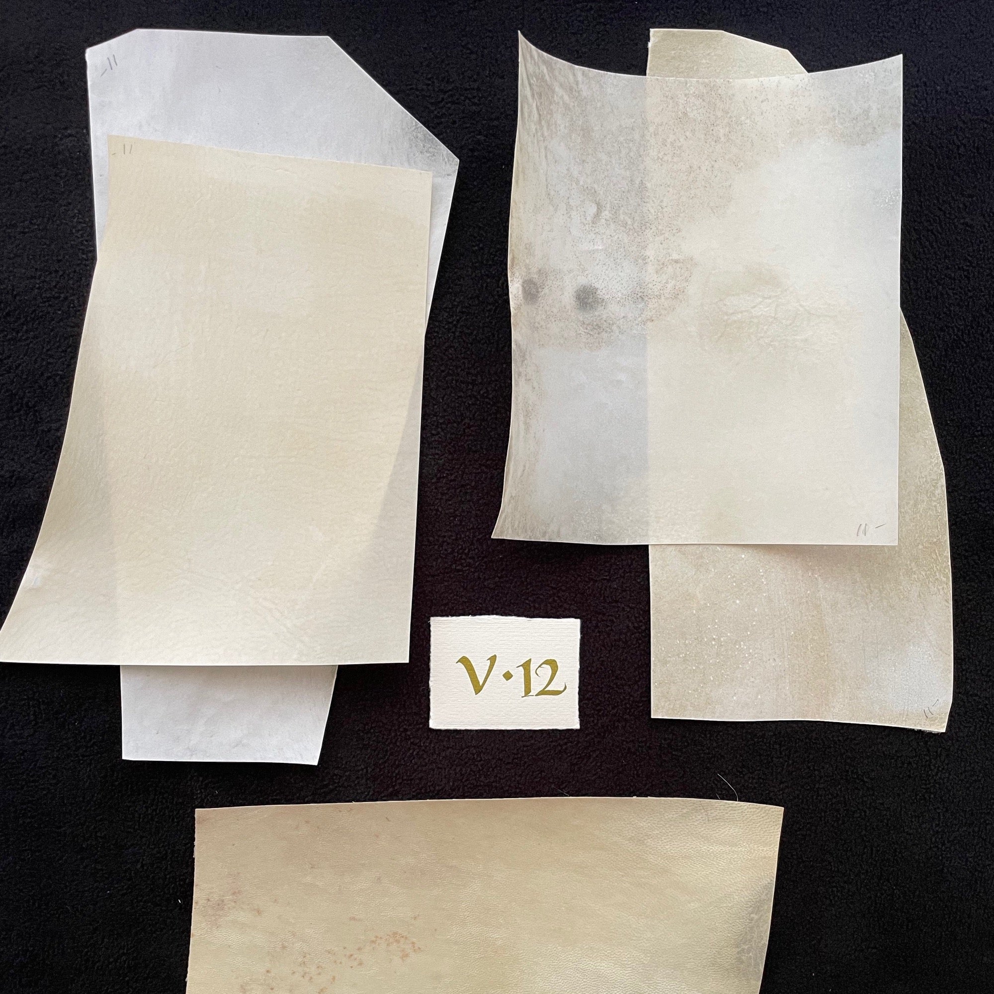 calfskin vellum