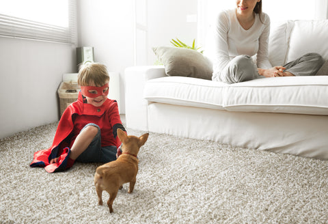 Rugs 101: The Most Pet Friendly Rugs - Rug & Home