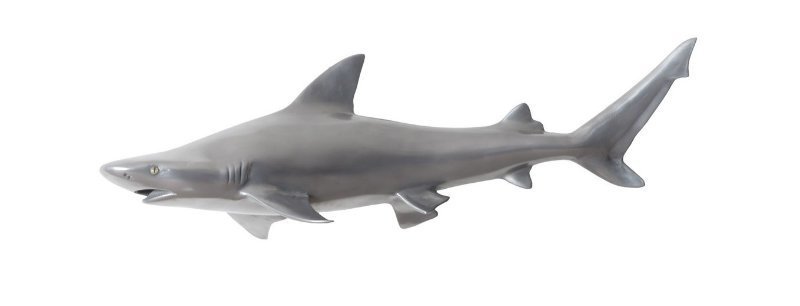 Rug and Home Shark Week Reef Shark Sculpture