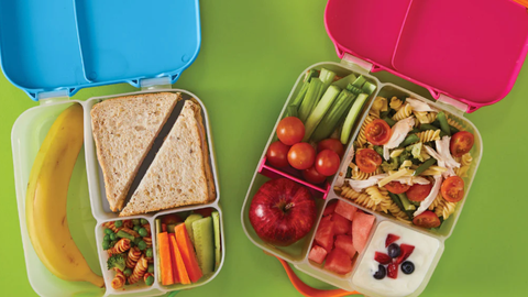 two b.box lunchboxes are shown featuring chicken sandwiches, chicken pasta salad, and fruits and vegetables