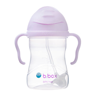 Combo Box 8 - Baby's Breath and Mini Carnation – Eblooms Farm