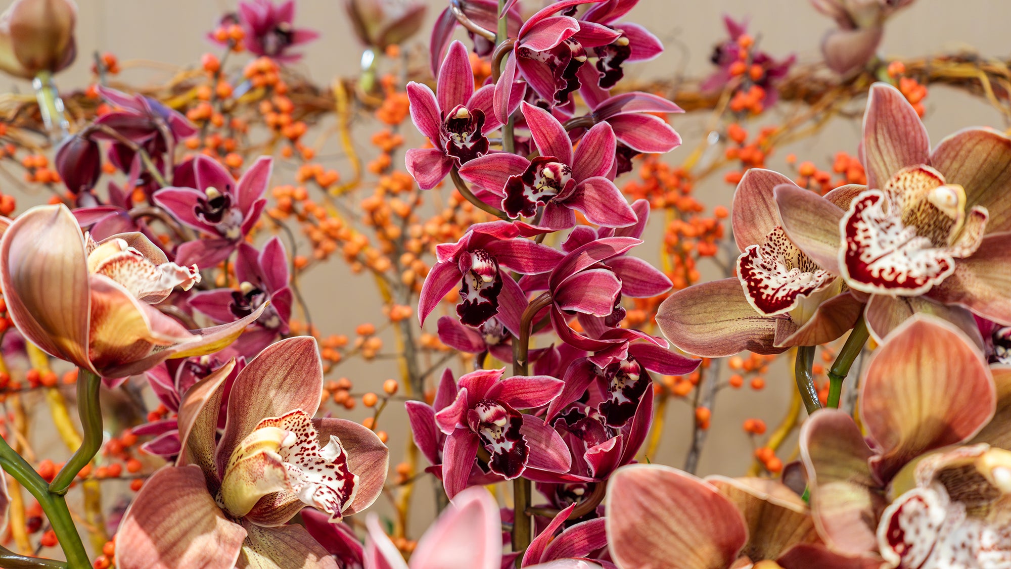 Detailed close-up of Cymbidium orchids and orange Ilex berries from The Smoked Gold Snail arrangement, showcasing rich autumnal textures.