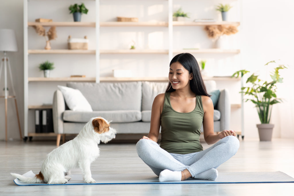 Woman and Her Dog Doing Yoga Together