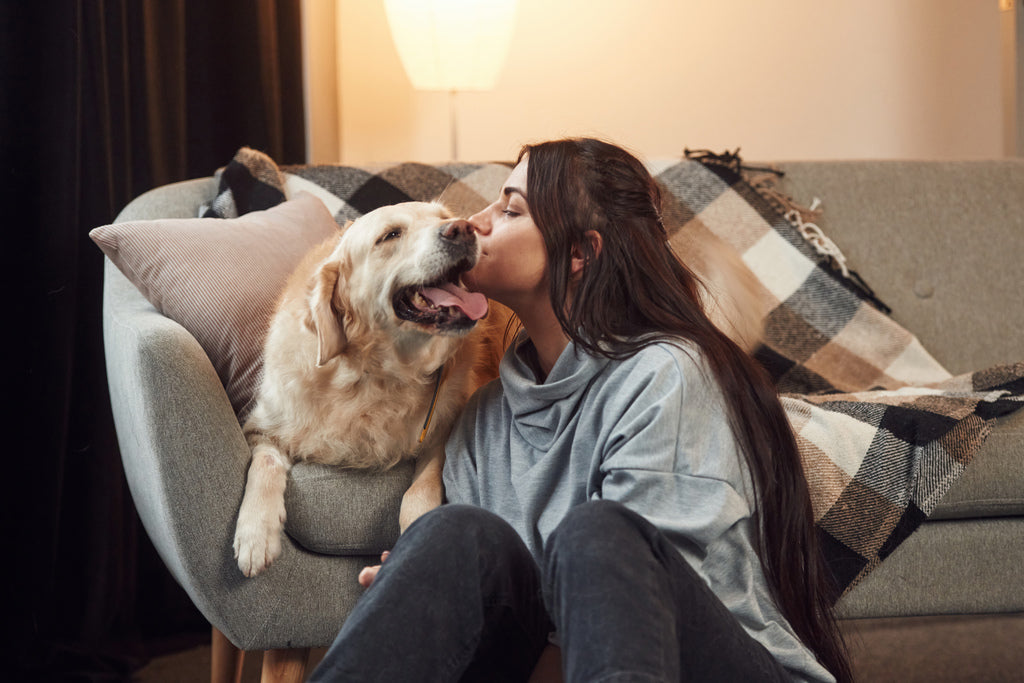 Dog and Owner Bonding and Spending Time Together