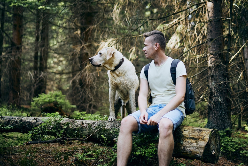 Dog and Owner Exercising and Exploring