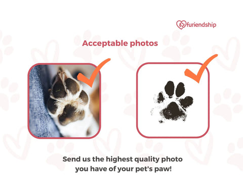 Acceptable paw photos for custom paw print necklace - furiendship