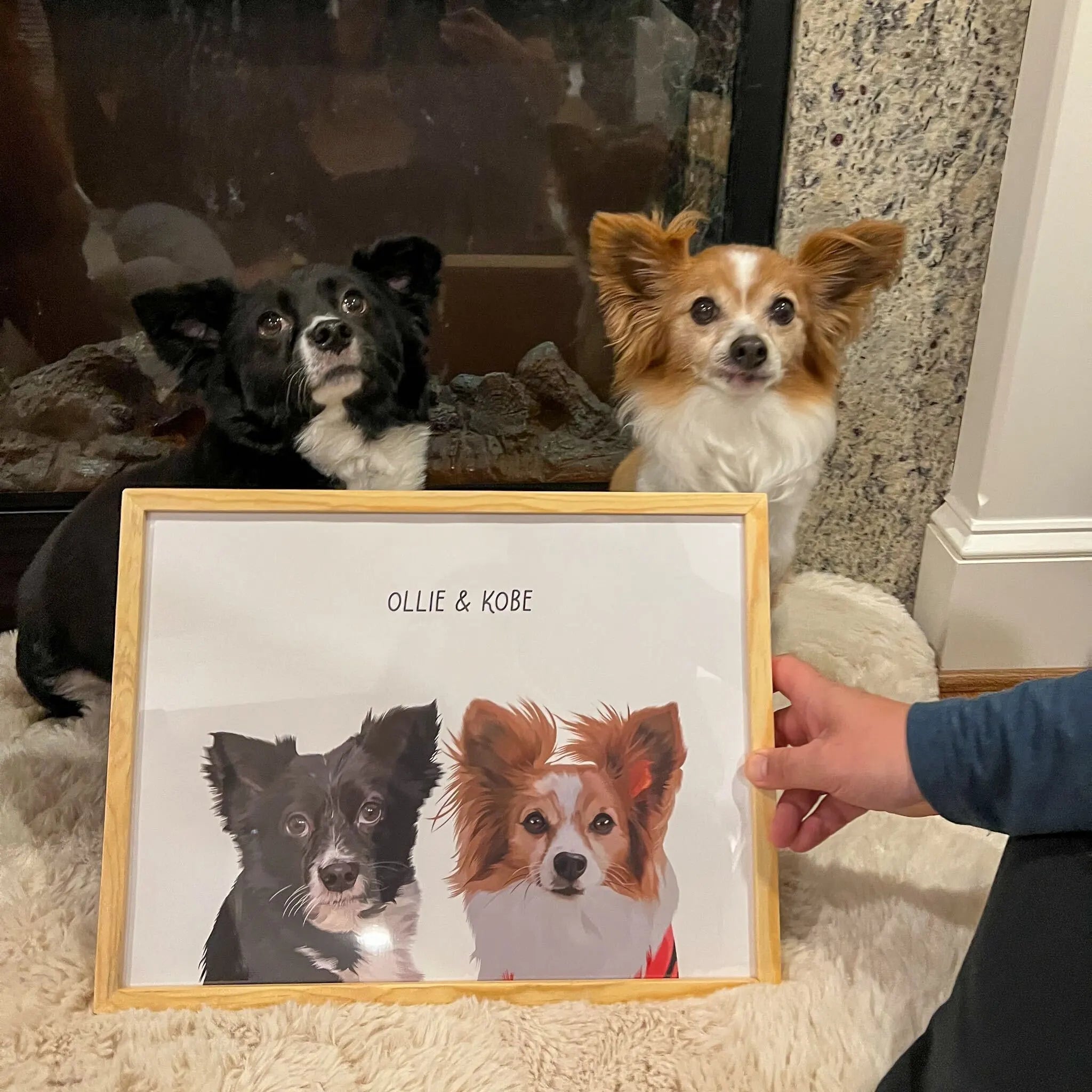 Amazing custom pet portrait service at Furiendship
