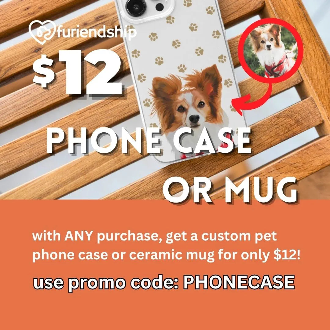 $12 phone case or mug promotion at furiendship - use code: PHONECASE