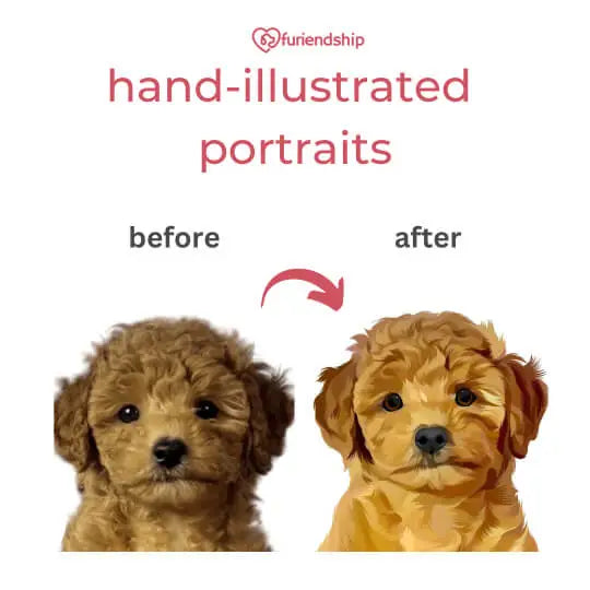 furiendship hand-illustrated portraits before and after