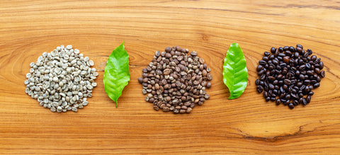 Coffee Beans at different roasting stages