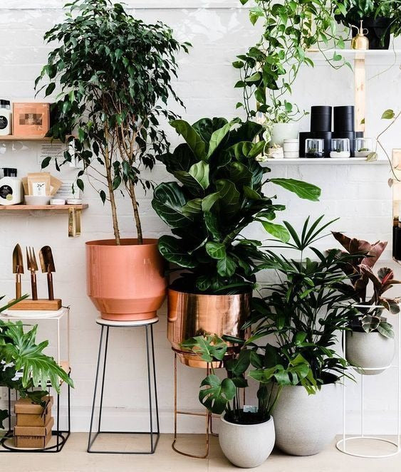 indoor plant pots