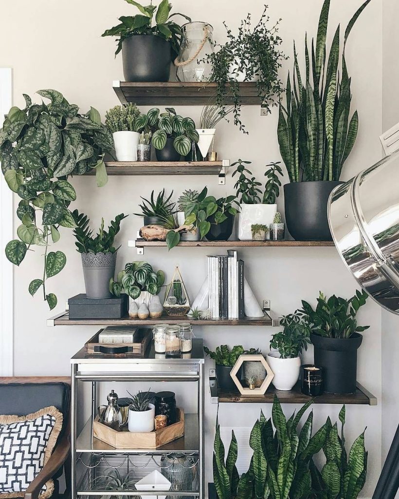 indoor plant pots