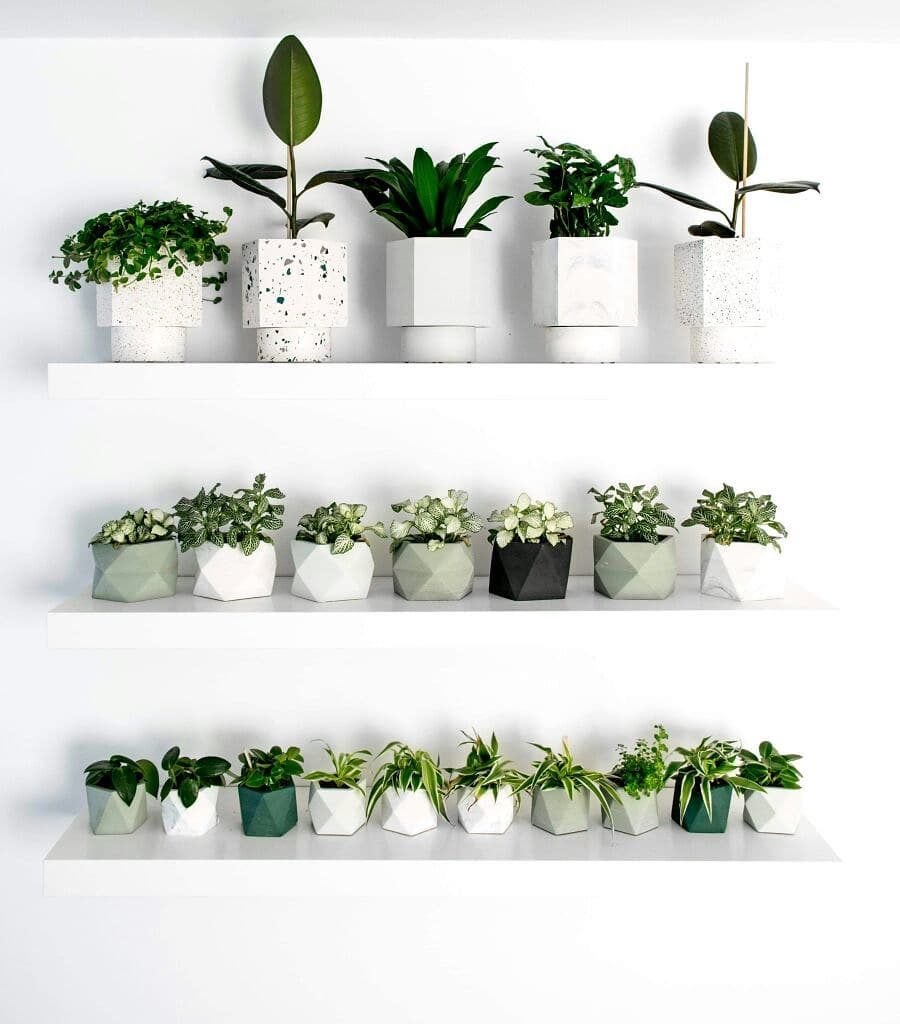 indoor plant pots