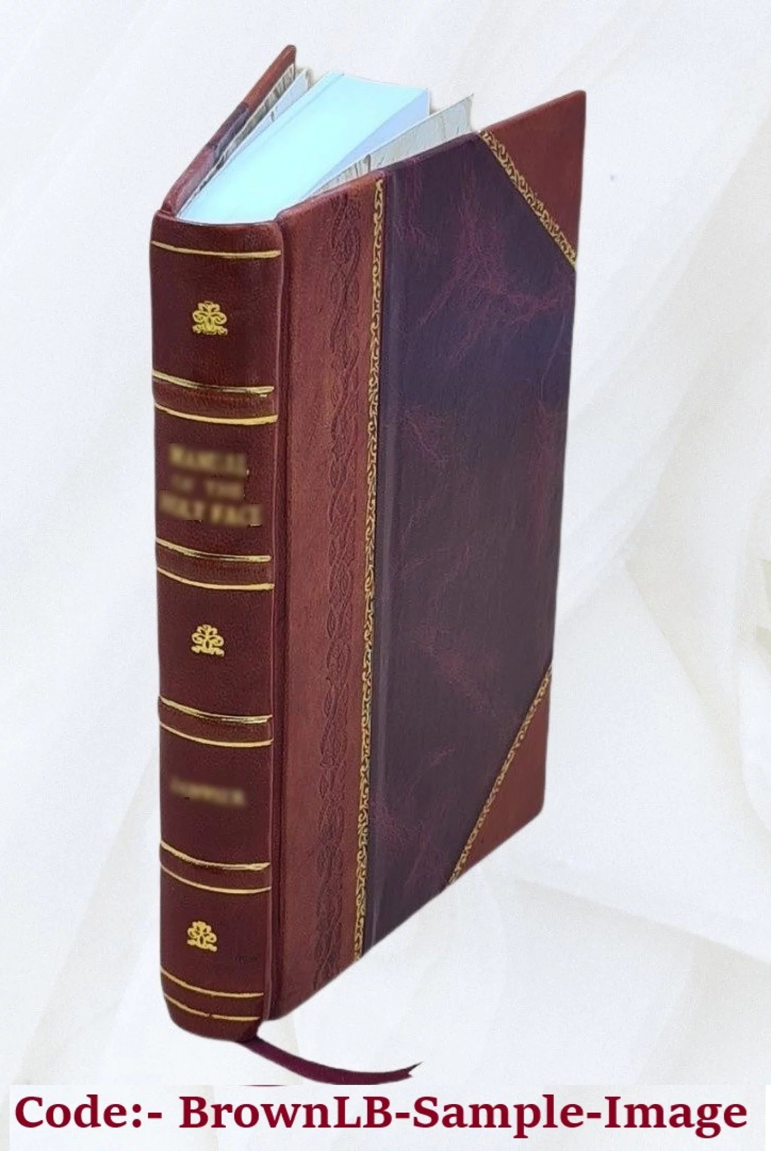 "Alo'ha!" A Hawaiian salutation 1880 Leather Bound