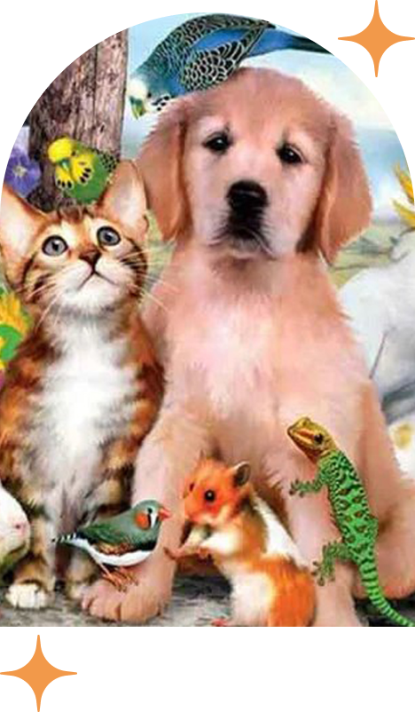 Why choose an animal diamond painting?