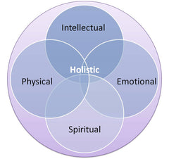 Heart Healthy Homes holistic approach diagram