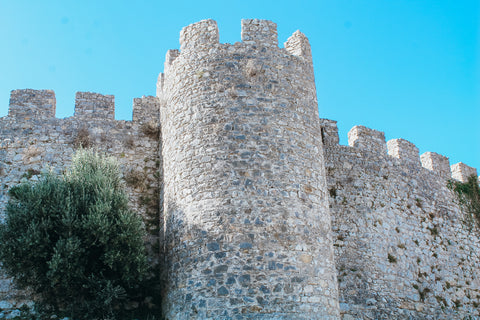 A castle tower at Castelo de Montemor-o-Velho with a tree growing along the side