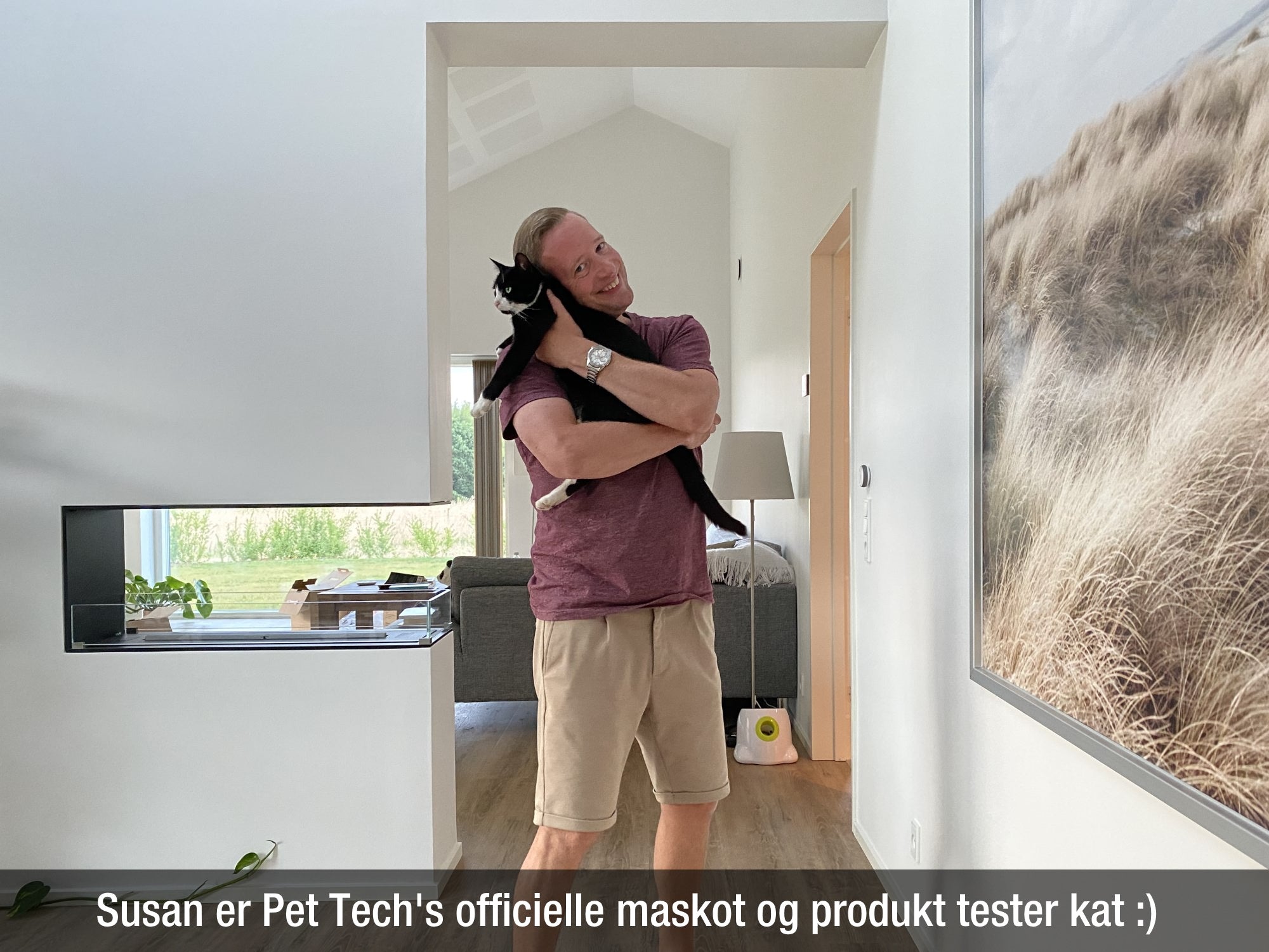 Susan er Pet Tech's officielle produkt tester kat