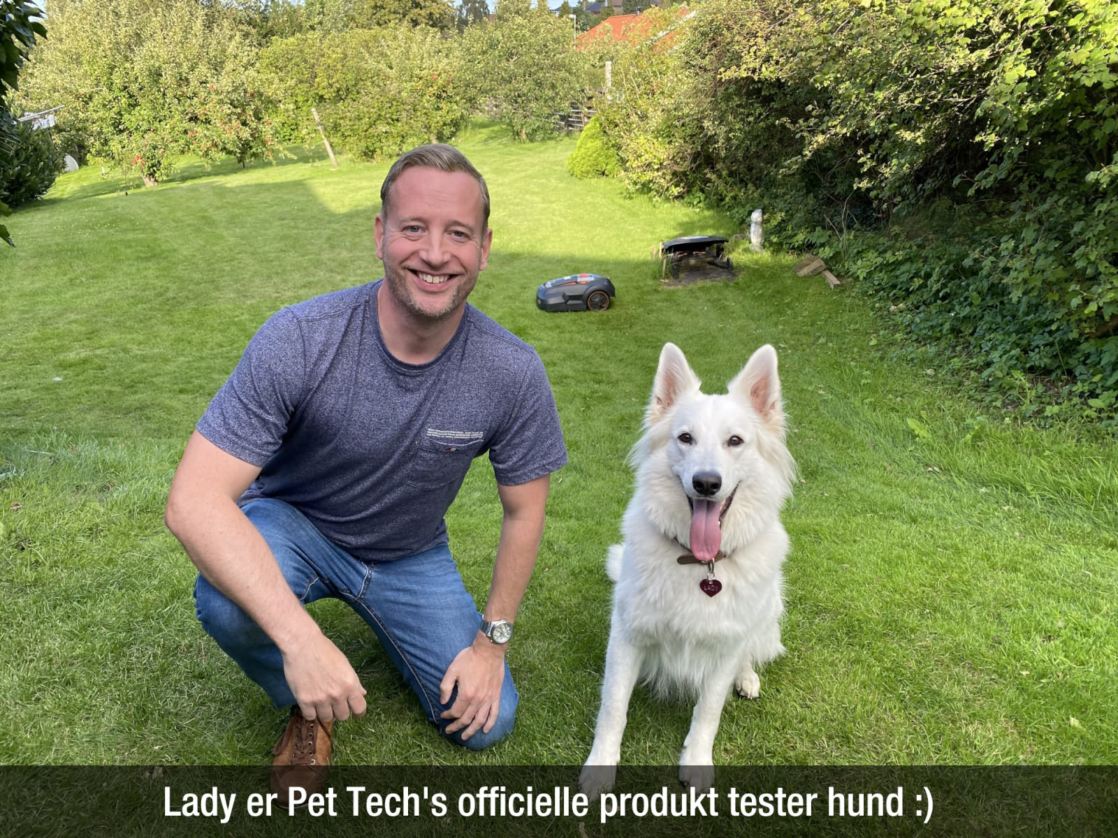 Lady er Pet Tech's officielle produkt tester hund