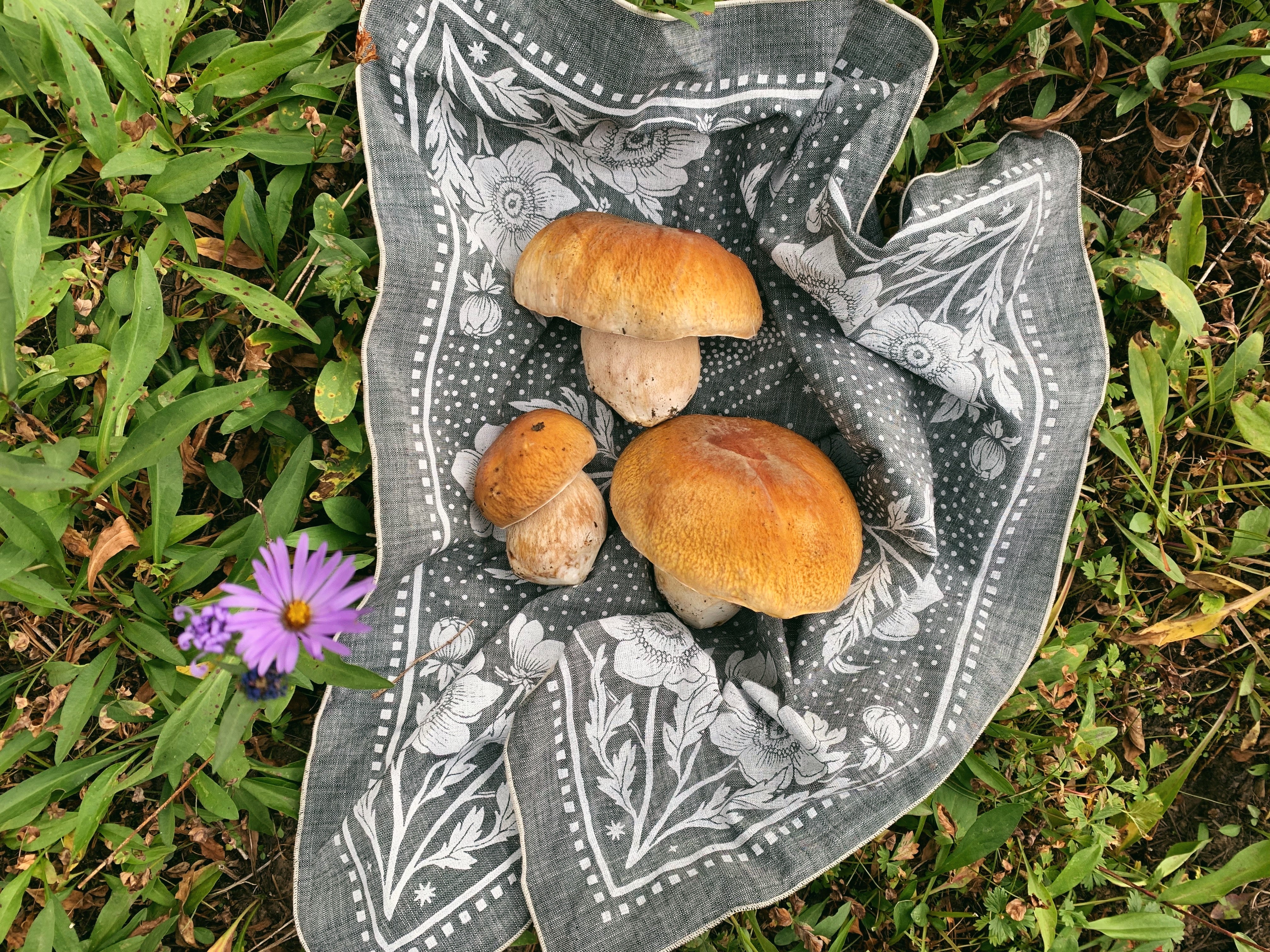 mushrooms on a bandana