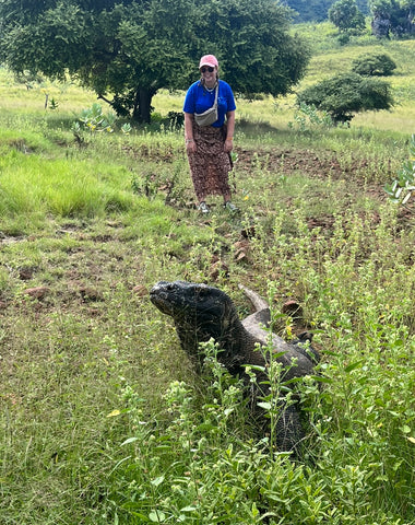 Komodo dragon