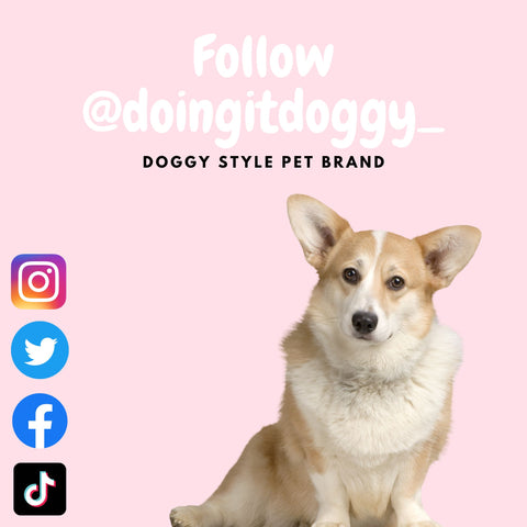 follow @doingitdoggy_ on all socials