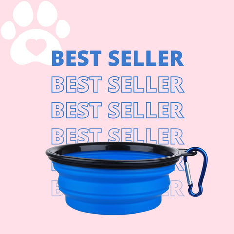 best seller collapsible dog bowl