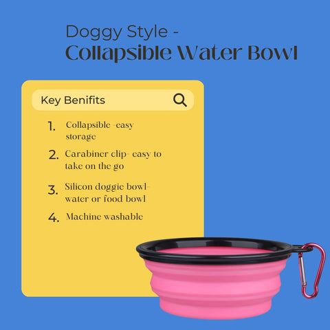 collapsible water bowl