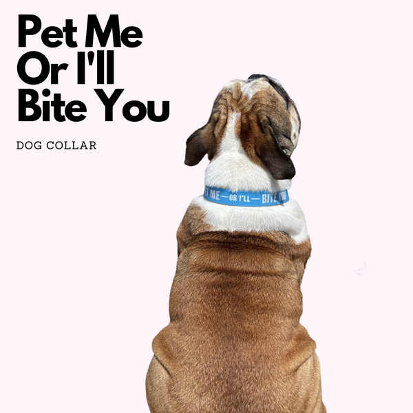Pet Me Dog Collar - Blue