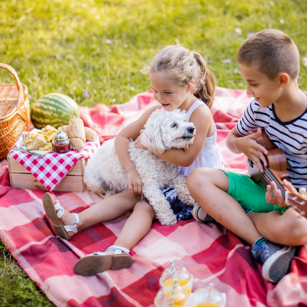 dog and children having a picnic